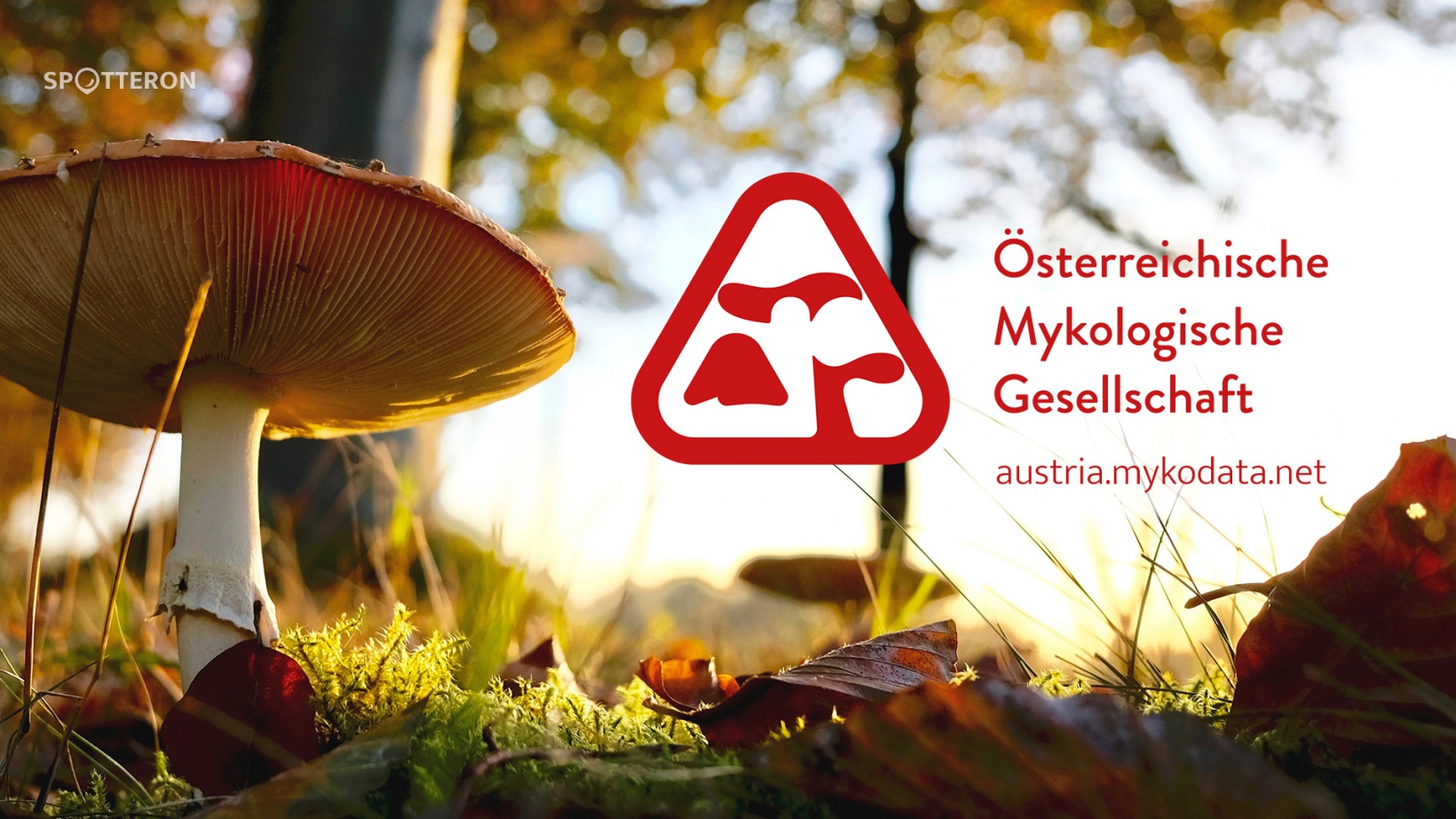 Let&#039;s meet Citizen Science! Episode 2 - Austrian Mycological Society ÖMG