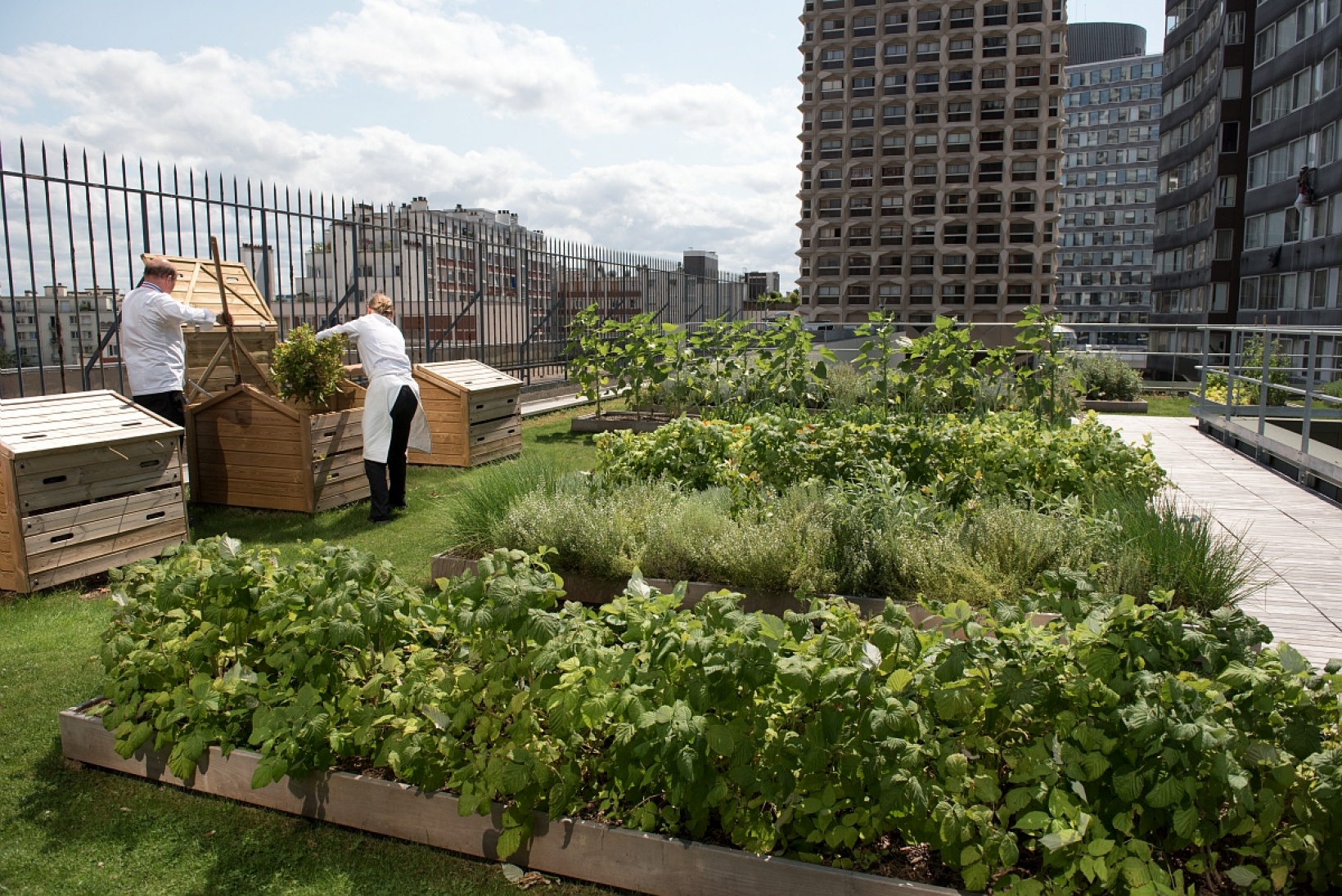 Nationales Forschungsinstitut für Landwirtschaft, Ernährung und Umwelt (INRAE)
