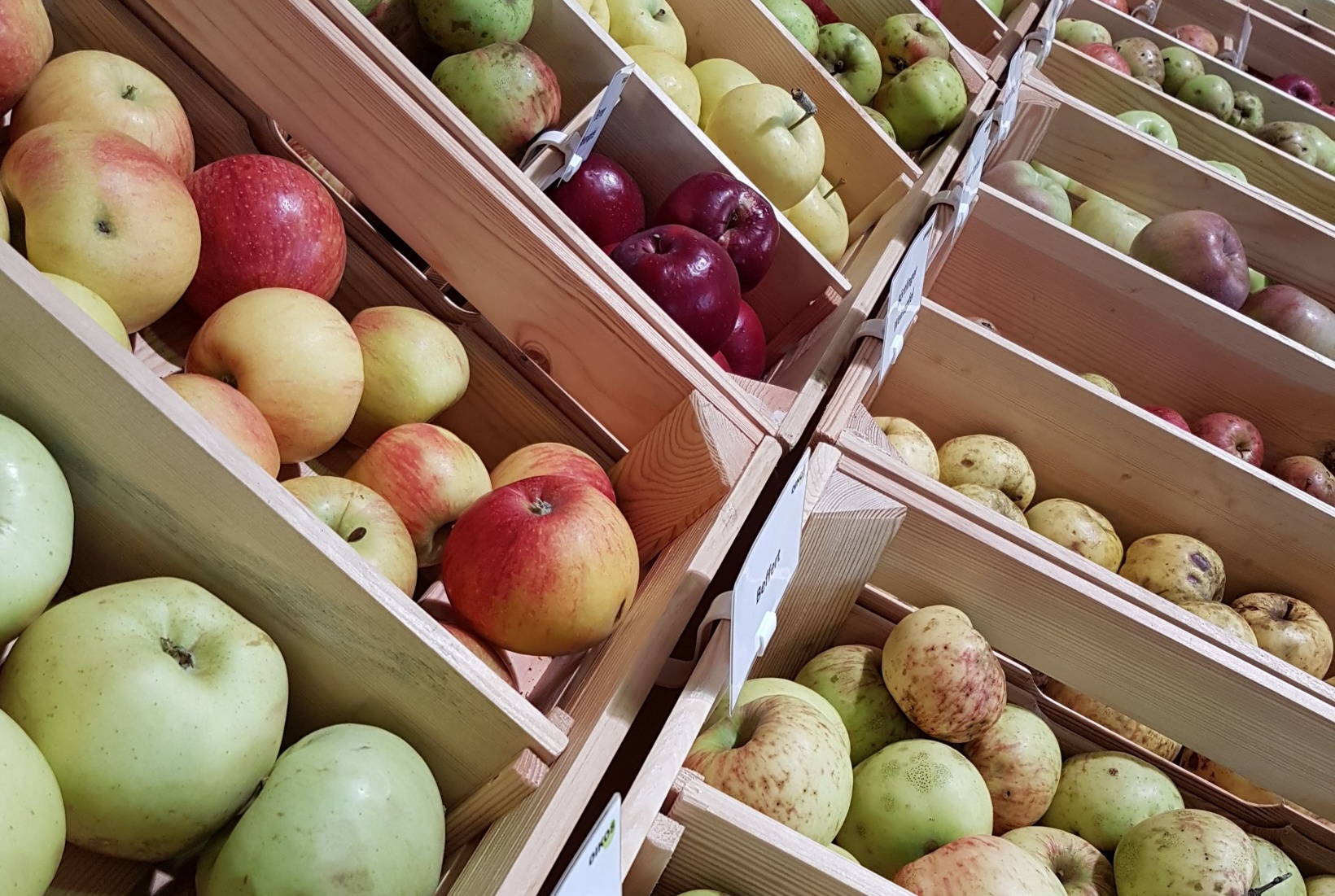 Citizen Science - A journey from pencil and paper to mobile app